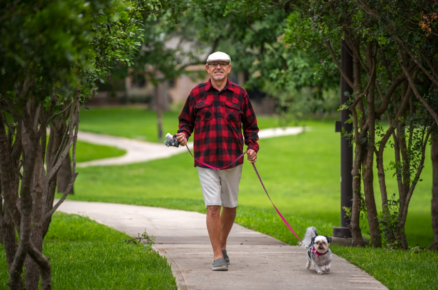 older man walking dog on a tree-lined sidewalk